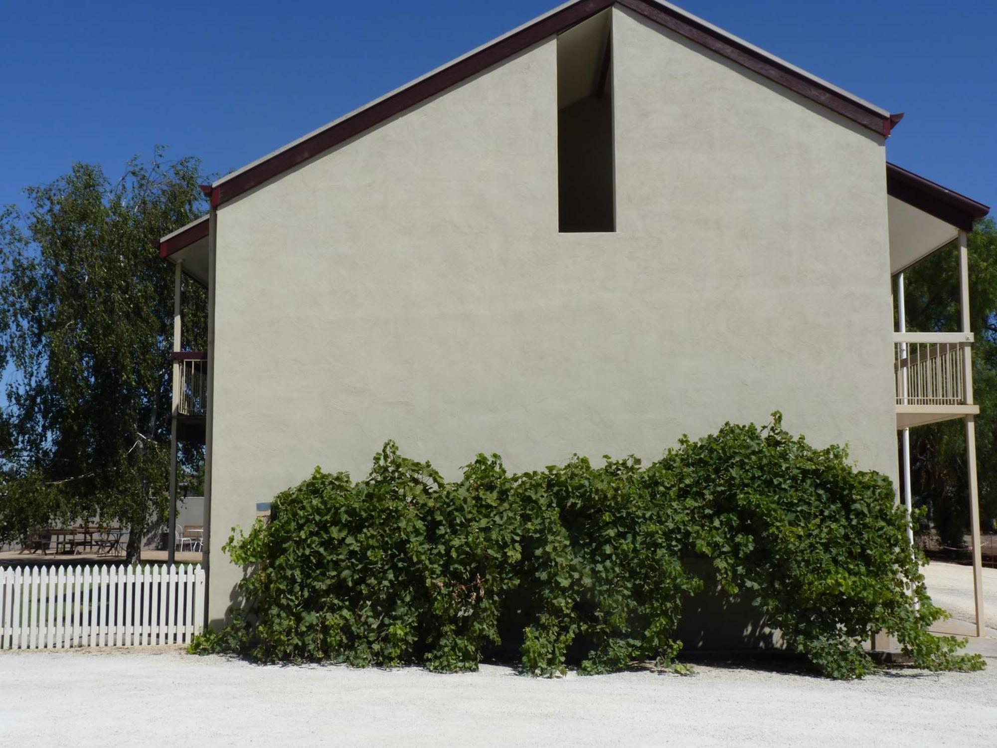 Coonawarra Motor Lodge Penola Exterior photo