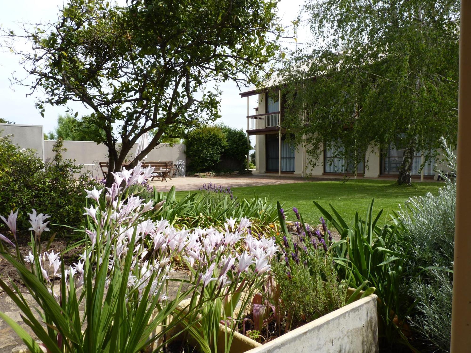 Coonawarra Motor Lodge Penola Exterior photo